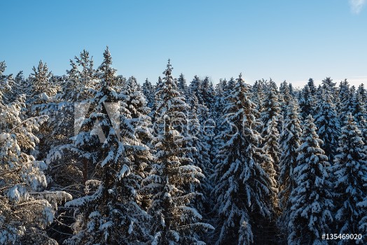 Bild på Russian winter forest and sky beautiful landscape